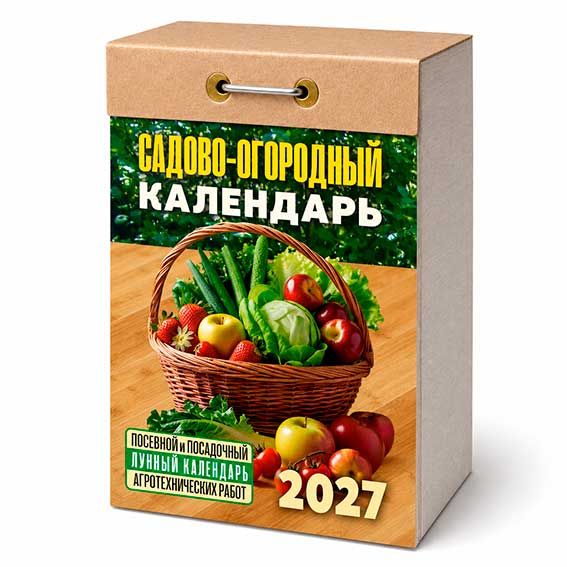 ЦБ-00066804