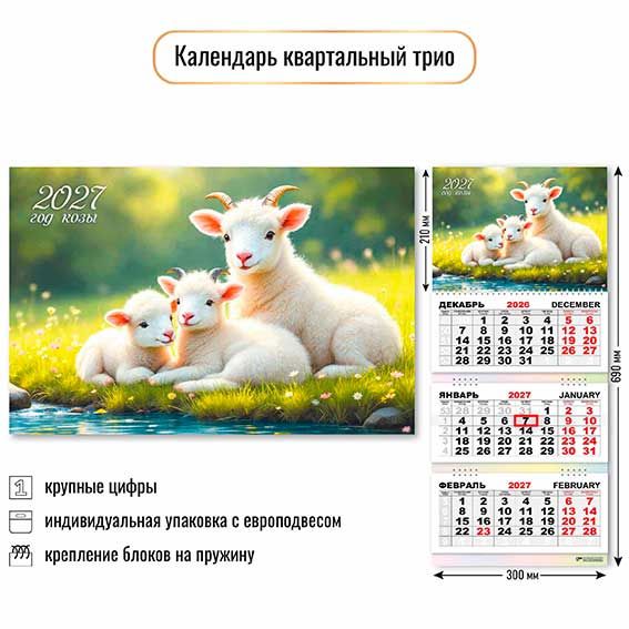 ЦБ-00066843