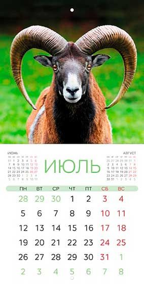 ЦБ-00066856