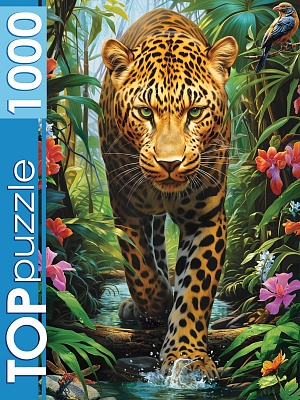 00-00054410
