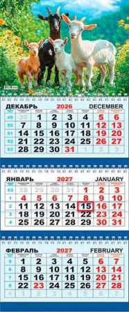 ЦБ-00062365