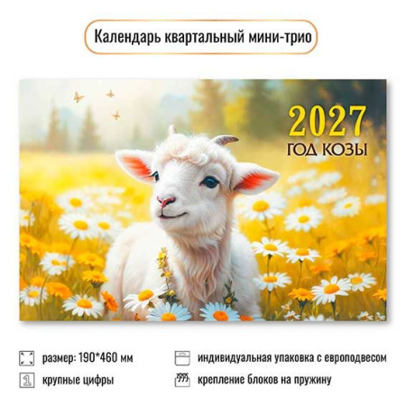 ЦБ-00063917