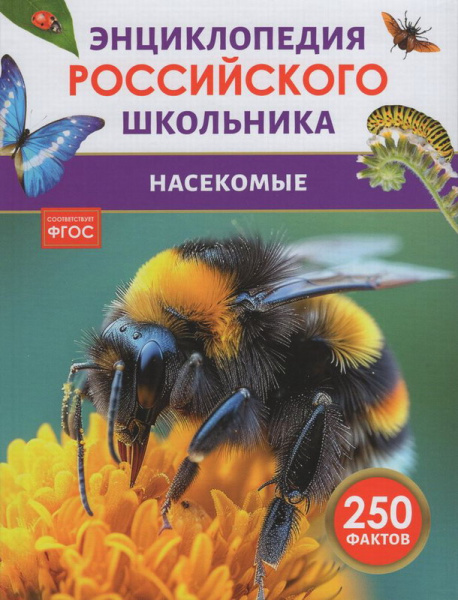 00-00032334