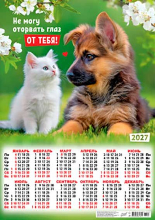 ЦБ-00066226