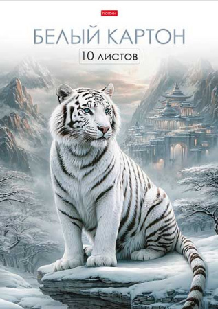 ЦБ-00063341