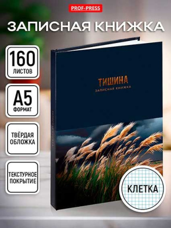 ЦБ-00064097