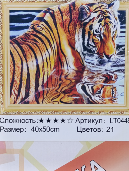 00-00053582