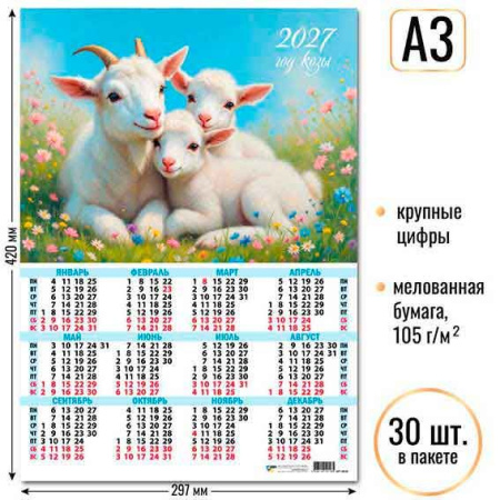 ЦБ-00062419