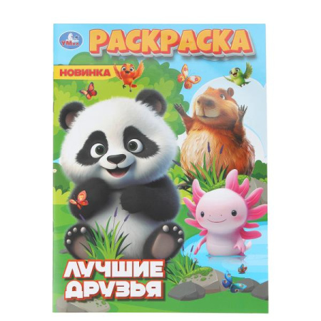 ЦБ-00064847