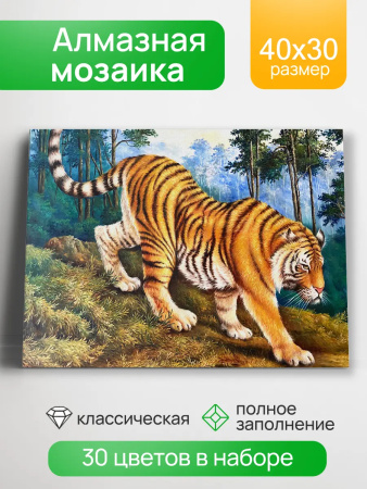 ЦБ-00065194