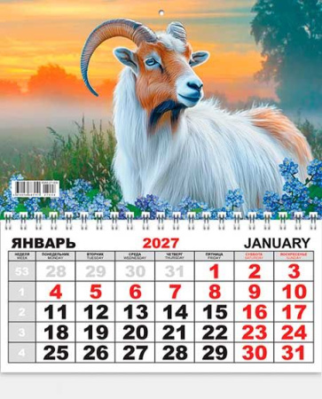 ЦБ-00062395