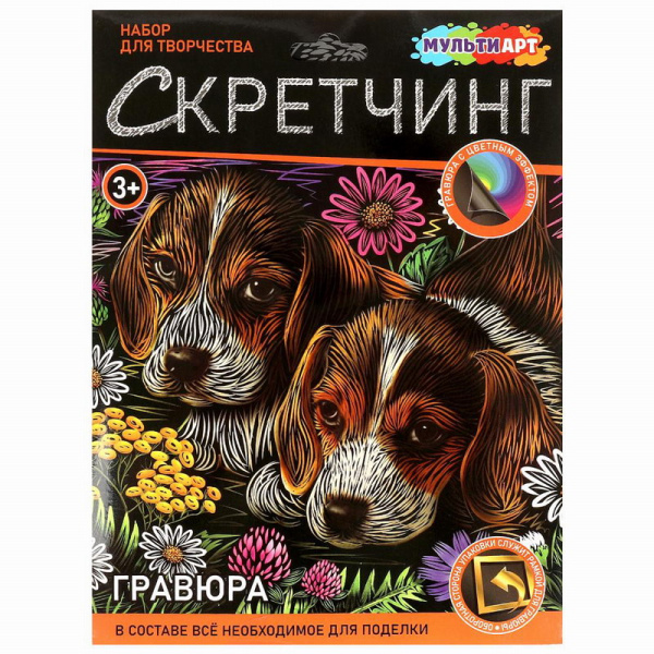 00-00043096