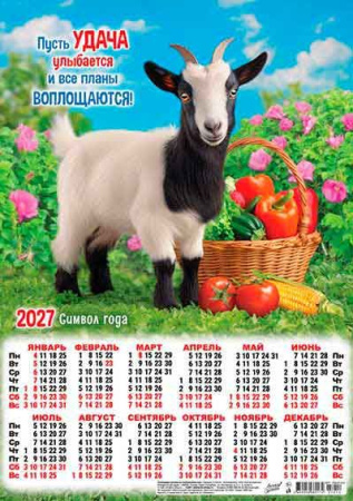 ЦБ-00066243