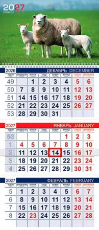 ЦБ-00066207