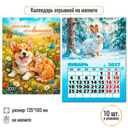 ЦБ-00062449