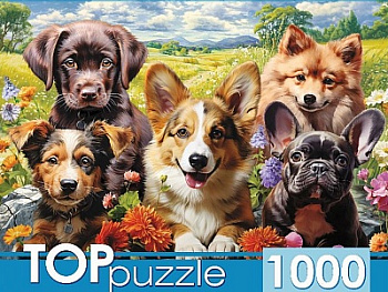 Пазлы (1000эл) Весёлое селфи щенков Ф1000-3868