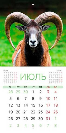 ЦБ-00066856