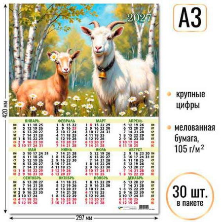 ЦБ-00062420
