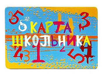 Карман для карт ДПС 2802.ЯК.ШК Школьник
