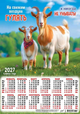 ЦБ-00066241