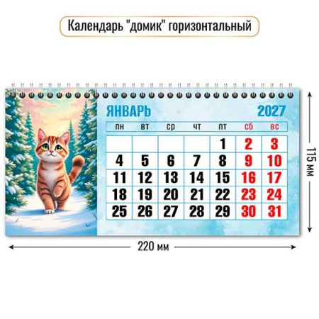 ЦБ-00062461